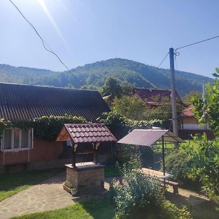 Hotel Borgaza Jaremcze Zewnętrze zdjęcie