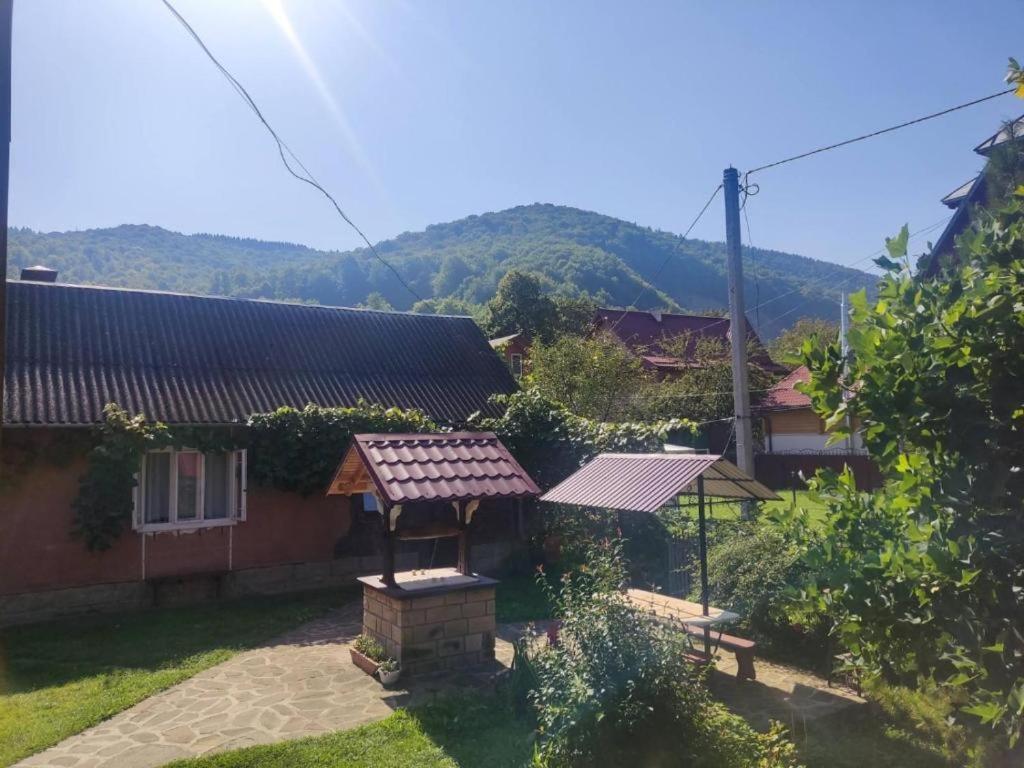Hotel Borgaza Jaremcze Zewnętrze zdjęcie