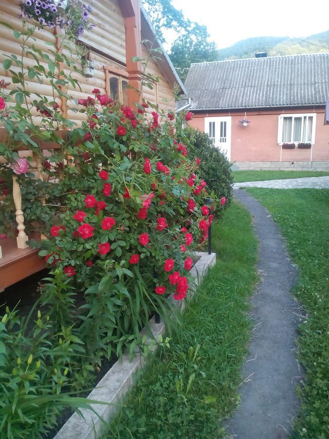 Hotel Borgaza Jaremcze Zewnętrze zdjęcie