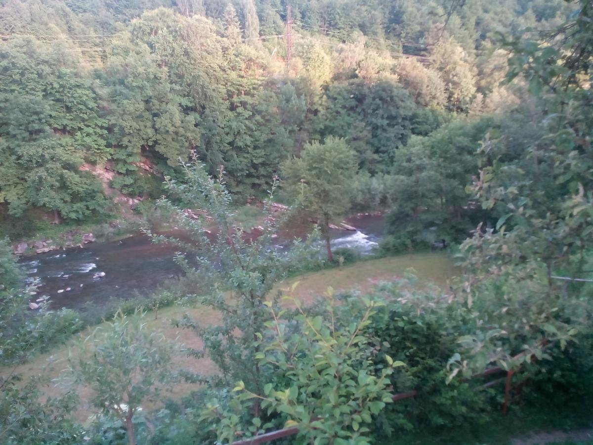 Hotel Borgaza Jaremcze Zewnętrze zdjęcie